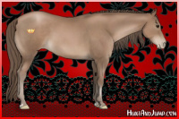 Horse Color:Black Pearl