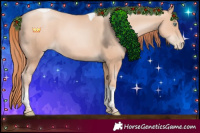 Horse Color:Sable Champagne Pearl Tobiano 
