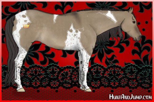 Horse Color:Smoky Grullo Tobiano 