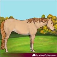 Horse Color:Red Dun 
