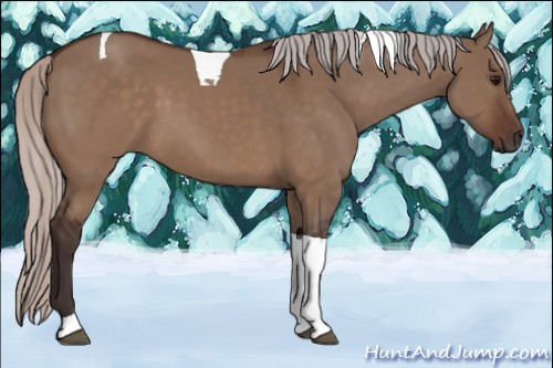 Horse Color:Silver Brown Dun Tobiano 