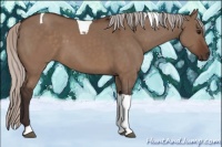 Horse Color:Silver Brown Dun Tobiano 