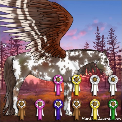 Horse Color:White Spotted Liver Chestnut Sabino 