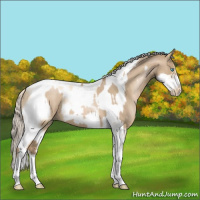 Horse Color:Chocolate Palomino Pearl Tobiano Frame  and Palomino Pearl Tobiano Frame 