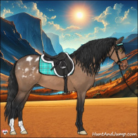 Horse Color:Brown Dun Appaloosa 