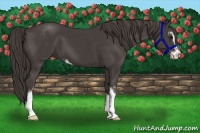 Horse Color:Smoky Black Sabino 