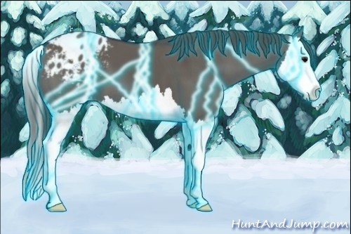 Horse Color:Thunderstruck Grullo Splash Blanket 