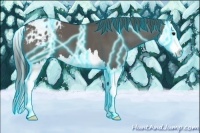 Horse Color:Thunderstruck Grullo Splash Blanket 