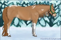 Horse Color:Chestnut Tobiano 