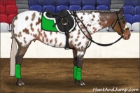 Horse Color:Silver Brown Appaloosa 