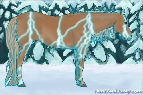 Horse Color:Thunderstruck Chestnut 