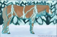 Horse Color:Thunderstruck Chestnut 