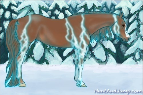 Horse Color:Thunderstruck Chestnut 