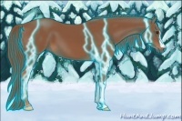 Horse Color:Thunderstruck Chestnut
