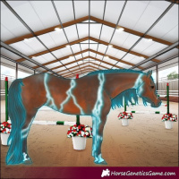 Horse Color:Thunderstruck Bay 