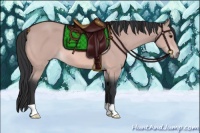 Horse Color:Platinum Bay