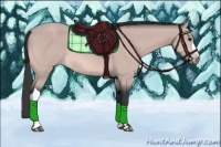 Horse Color:Platinum Bay 