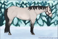 Horse Color:Platinum Bay Dun 