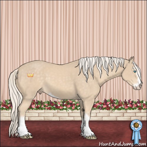 Horse Color:Cremello Sabino 