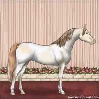 Horse Color:White Spotted Buckskin Pearl Dun 