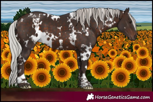 Horse Color:White Spotted Silver Brown Mushroom 