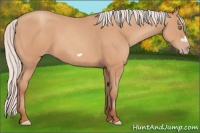 Horse Color:Silver Amber Champagne Frame 