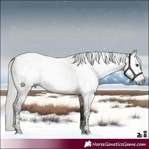 Horse Color:Gray Silver Brown Dun Tobiano 