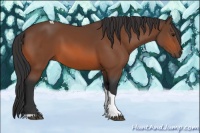 Horse Color:Bay Tobiano Rabicano 