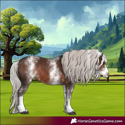 Horse Color:White Spotted Silver Brown Rabicano 