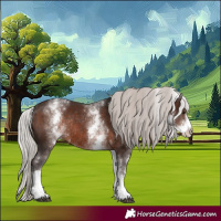 Horse Color:White Spotted Silver Brown Rabicano 