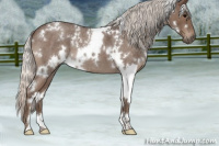 Horse Color:White Spotted Silver Blue Roan 