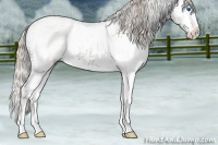 Horse Color:White Spotted Silver Black Sabino Splash 