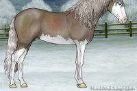 Horse Color:Silver Blue Roan Splash 