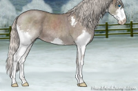 Horse Color:Silver Blue Roan Sabino Splash 
