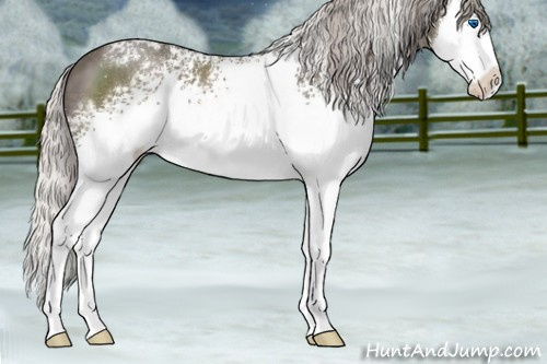 Horse Color:White Spotted Silver Black Sabino Splash 