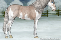 Horse Color:Silver Blue Roan Splash 