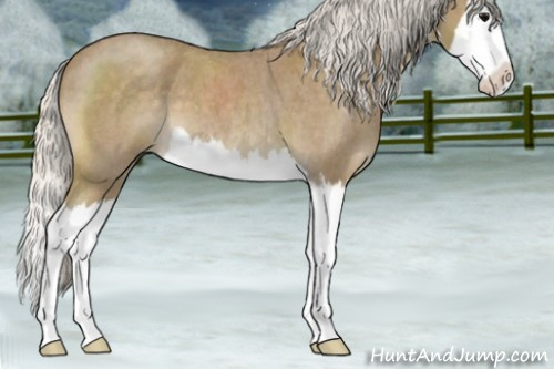 Horse Color:Silver Smoky Blue Roan Splash