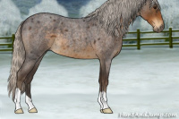 Horse Color:Silver Smoky Blue Roan 