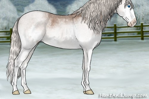Horse Color:Silver Blue Roan Splash 