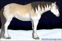 Horse Color:Buckskin Dun Splash 