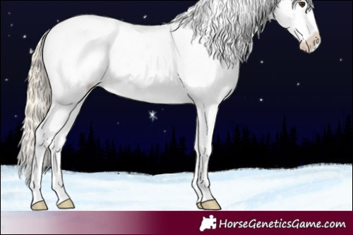 Horse Color:Chocolate Palomino Blanket