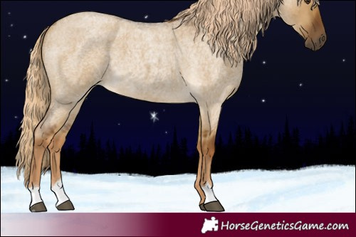 Horse Color:Chocolate Palomino Roan Dun 