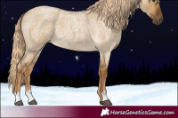 Horse Color:Chocolate Palomino Roan Dun