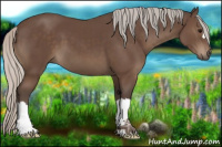 Horse Color:Silver Black 