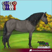 Horse Color:Grullo 