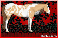 Horse Color:Sable Cream Champagne Splash Tobiano Near Leopard 