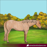 Horse Color:Red Roan 