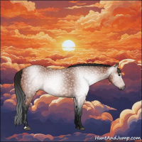 Horse Color:Gray Bay 