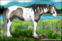 Horse Color:Blue Onyx Splash Tobiano 