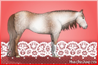 Horse Color:Gray Gold Champagne 